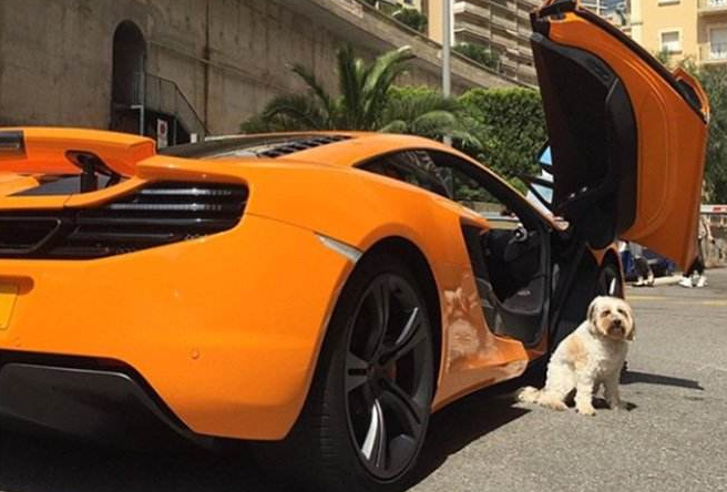 [时尚快讯]从业内到跨界全面升级，2019FS深圳国际服装供应链（春季）博览会将